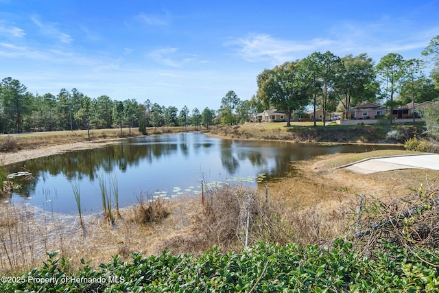 property view of water