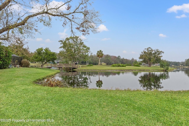 4412 Lake In The Woods Dr, Spring Hill, FL 34607 - property view of water