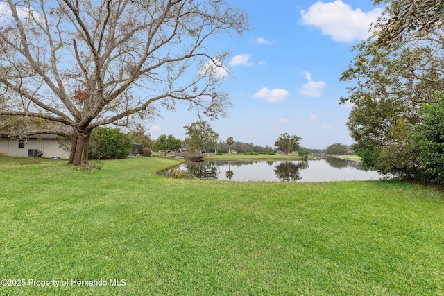 4412 Lake In The Woods Dr, Spring Hill, FL 34607 - view of yard with a water view