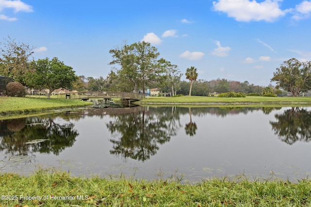4412 Lake In The Woods Dr, Spring Hill, FL 34607 - property view of water