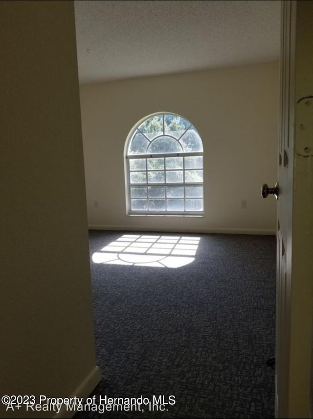 spare room featuring a textured ceiling and carpet flooring