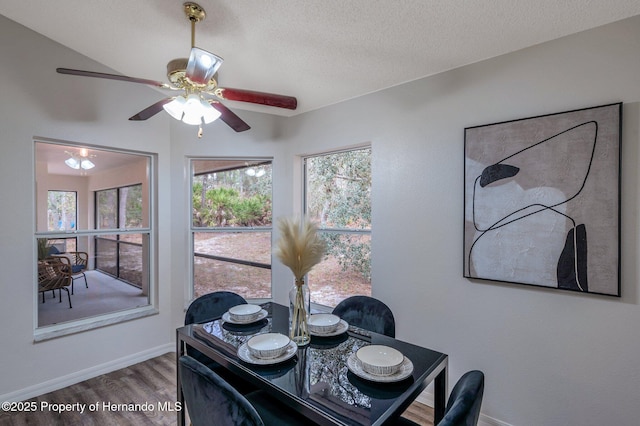 dining space featuring hardwood / wood-style flooring, ceiling fan, and a textured ceiling