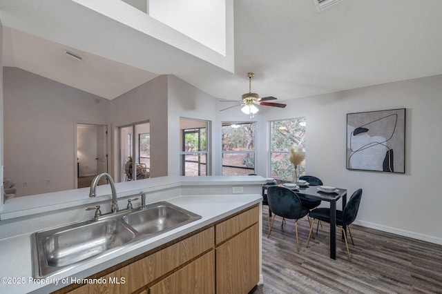 kitchen with hardwood / wood-style flooring, lofted ceiling, sink, and a wealth of natural light