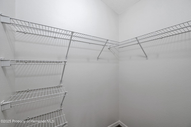 view of spacious closet