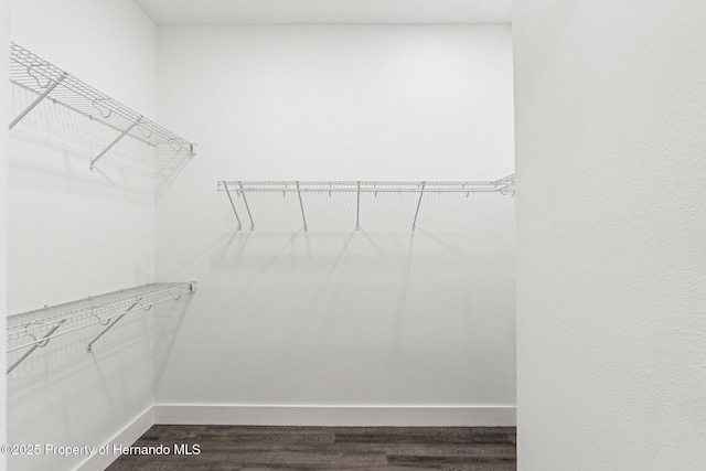 spacious closet featuring hardwood / wood-style floors