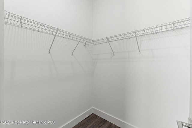 walk in closet featuring hardwood / wood-style floors