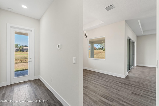 foyer featuring plenty of natural light and dark hardwood / wood-style flooring