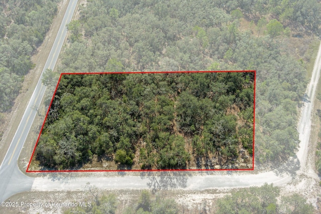 00 Shortstone Dr, Webster FL, 33597 land for sale