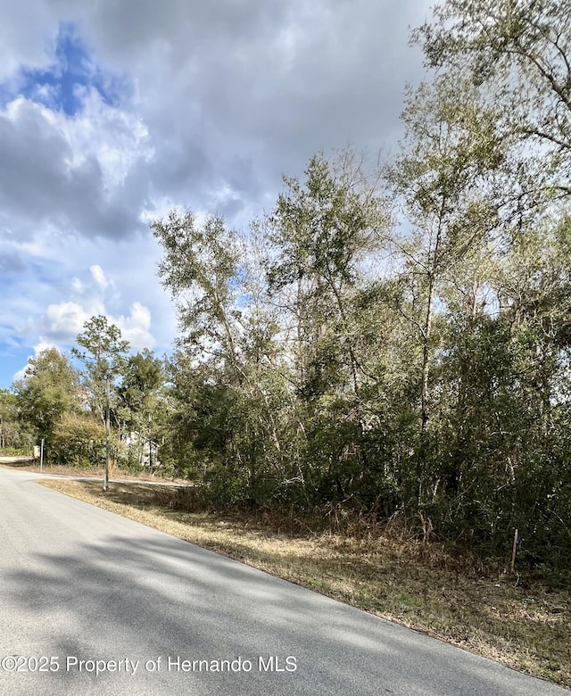 Listing photo 2 for 0 Smallman St, Webster FL 33597