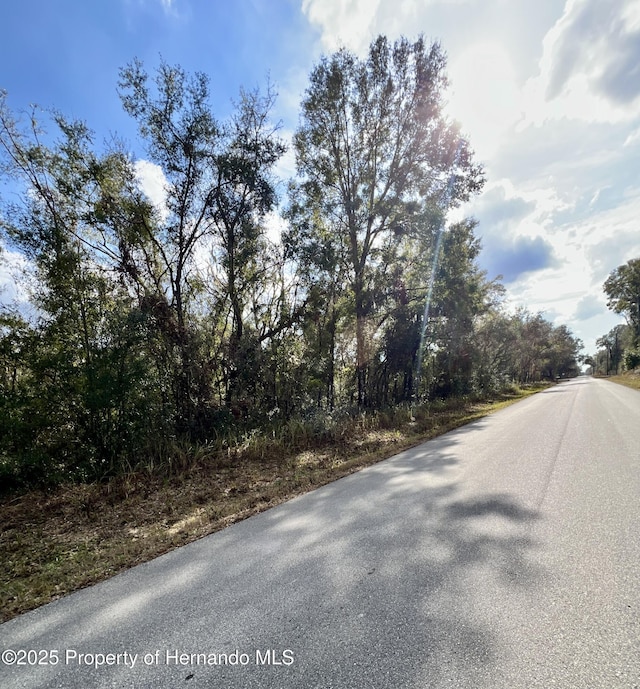 Listing photo 3 for 0 Smallman St, Webster FL 33597