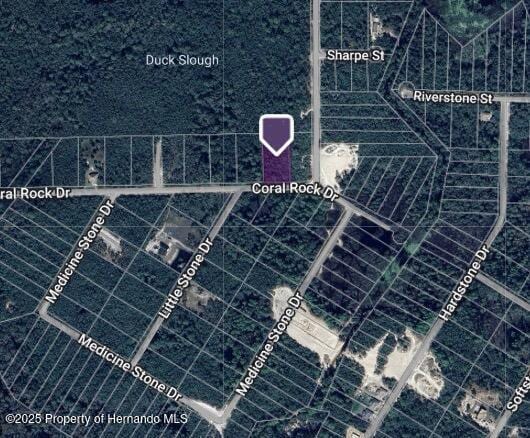 0 Coral Rock, Webster, FL 33597