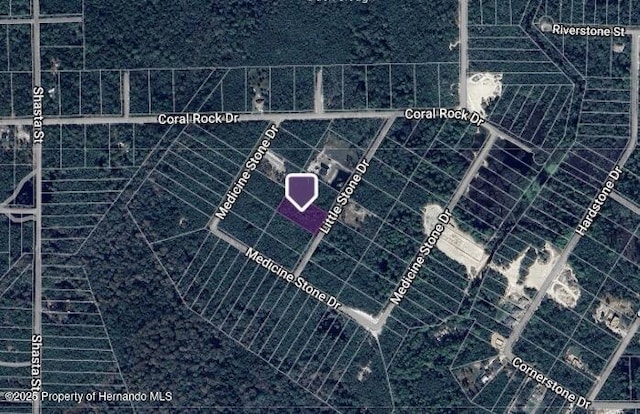 0 Little Stone, Webster FL, 33597 land for sale