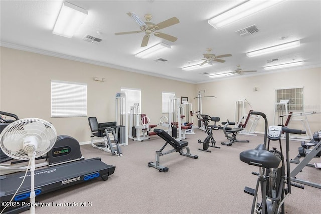 exercise room with crown molding