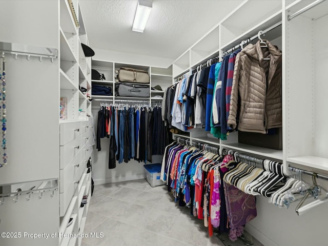 view of spacious closet