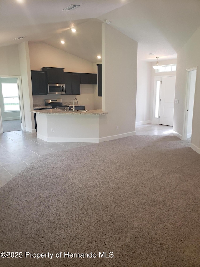 12205 Lark Sparrow Rd, Weeki Wachee, FL 34614 - photo 8