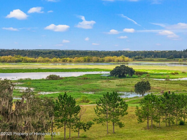 24440 Mondon Hill Rd, Brooksville, FL 34601 - photo 15