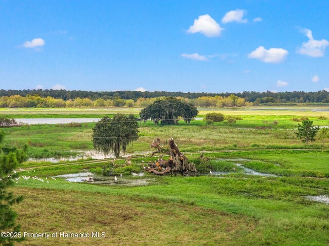 24440 Mondon Hill Rd, Brooksville, FL 34601 - photo 16