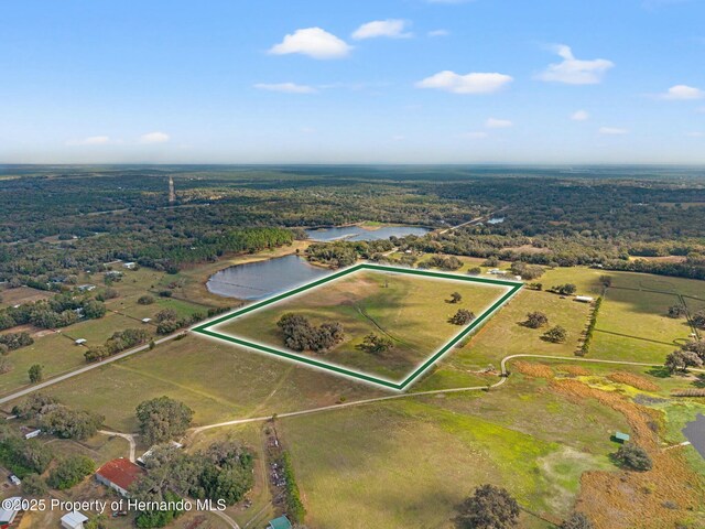 24440 Mondon Hill Rd, Brooksville, FL 34601 - photo 4