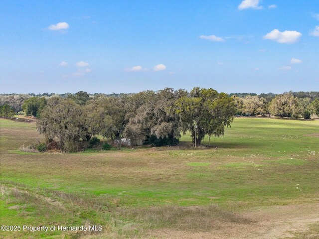 24440 Mondon Hill Rd, Brooksville, FL 34601 - photo 6
