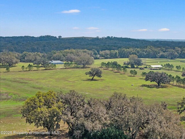 24440 Mondon Hill Rd, Brooksville, FL 34601 - photo 8