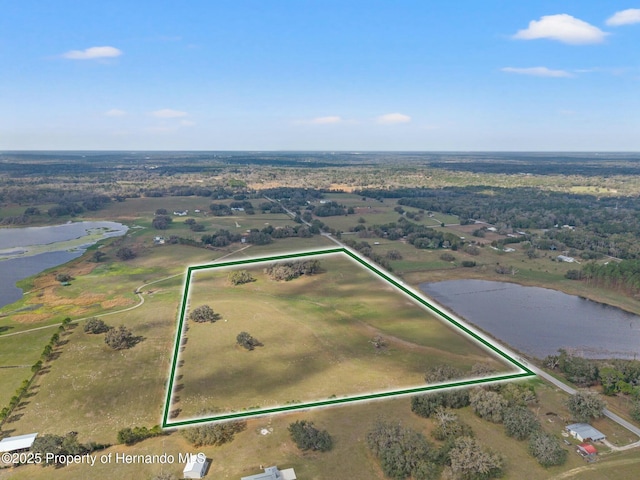 24440 Mondon Hill Rd, Brooksville, FL 34601 - photo 10