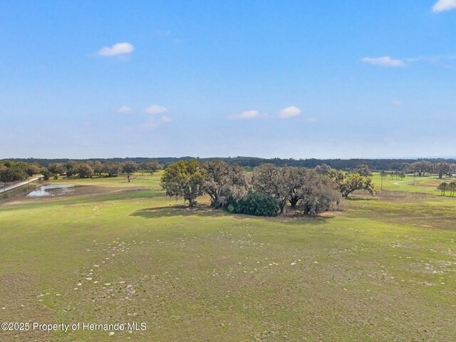 24440 Mondon Hill Rd, Brooksville, FL 34601 - photo 13