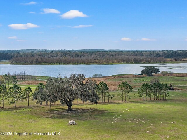 24440 Mondon Hill Rd, Brooksville, FL 34601 - photo 14