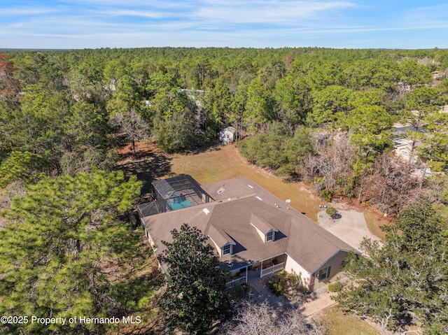 5685 W Pine Ridge Blvd, Beverly Hills, FL 34465 - bird's eye view
