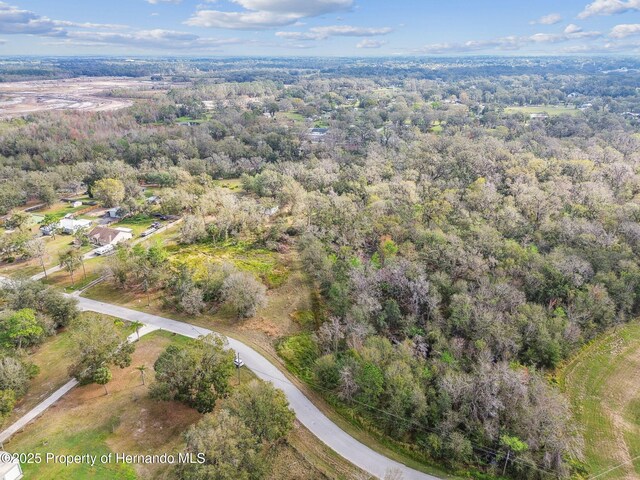 7405 Dove Meadow Trl, Lakeland, FL 33810 - photo 11