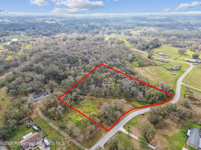 7405 Dove Meadow Trl, Lakeland, FL 33810 - photo 4