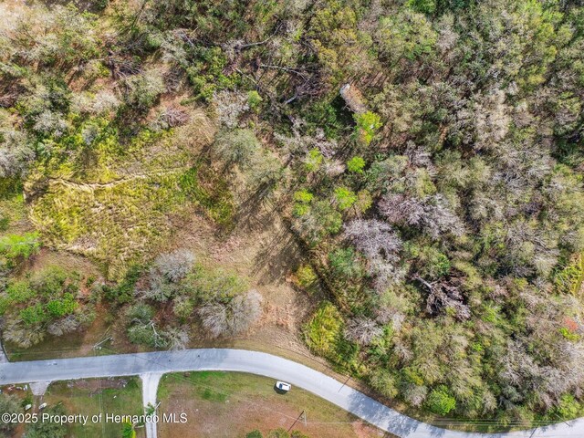 7405 Dove Meadow Trl, Lakeland, FL 33810 - photo 9