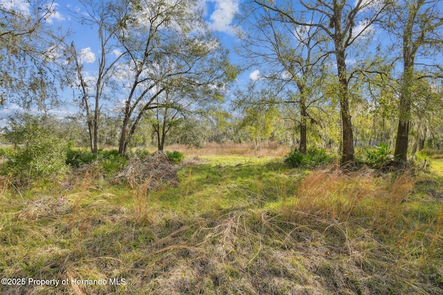 7405 Dove Meadow Trl, Lakeland, FL 33810 - photo 8