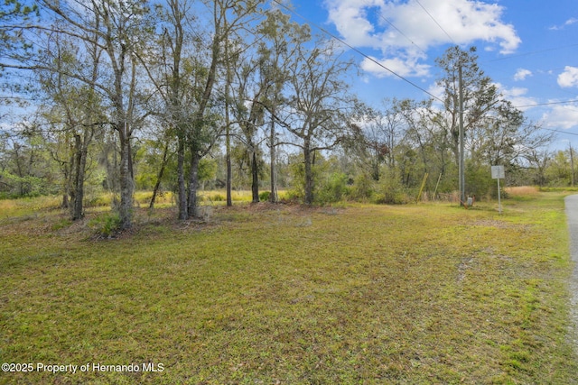 7405 Dove Meadow Trl, Lakeland, FL 33810 - photo 10