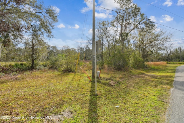 7405 Dove Meadow Trl, Lakeland, FL 33810 - photo 6