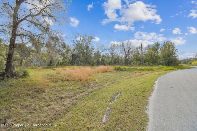 7405 Dove Meadow Trl, Lakeland, FL 33810 - photo 15