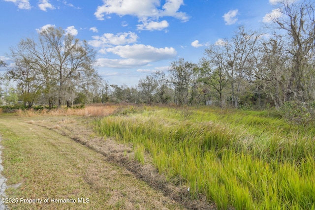 7405 Dove Meadow Trl, Lakeland, FL 33810 - photo 16