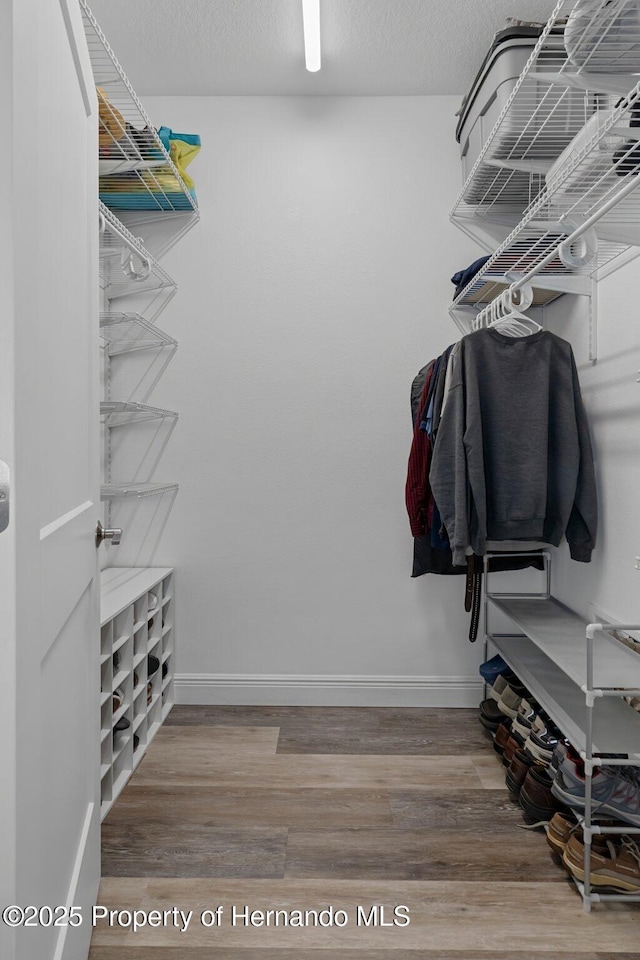 walk in closet with wood finished floors