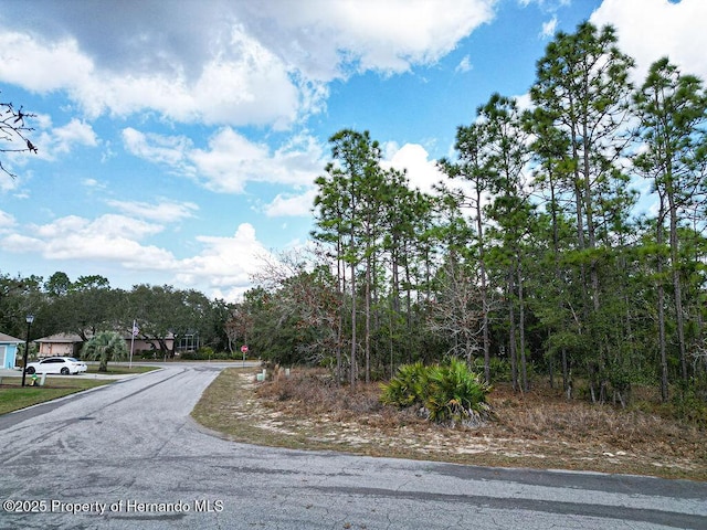 32 Speceberry Cir, Homosassa FL, 34446 land for sale