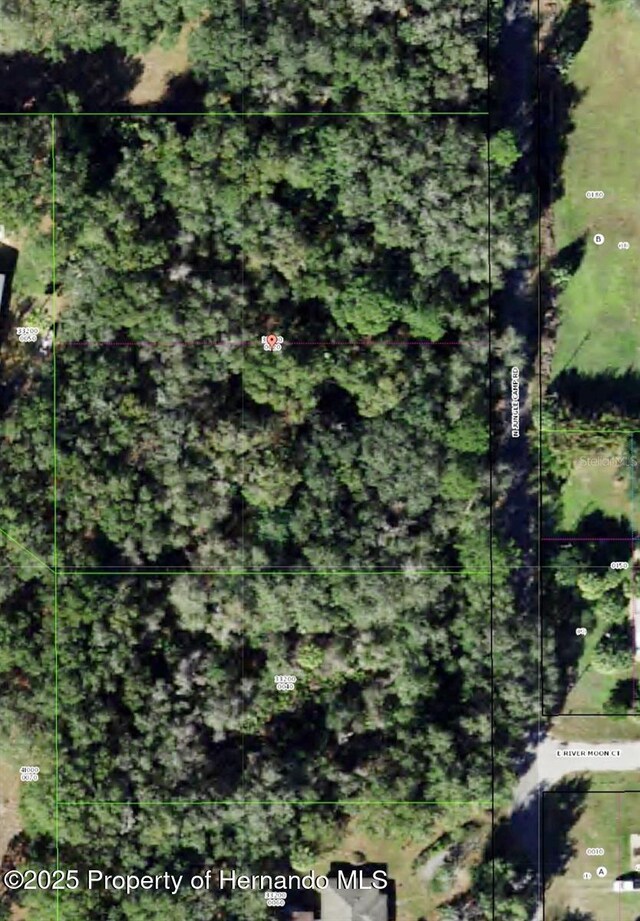 2798 N Junglecamp Rd, Inverness, FL 34453 - photo 1