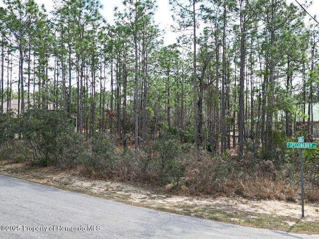 3 Speceberry Ct S, Homosassa FL, 34446 land for sale