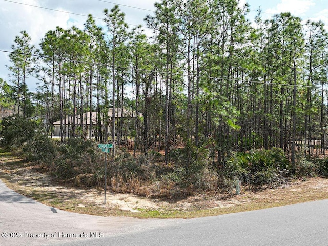 Listing photo 3 for 3 Speceberry Ct S, Homosassa FL 34446