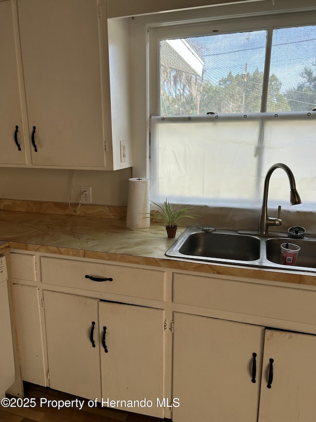 kitchen featuring white cabinetry, sink, and dishwasher