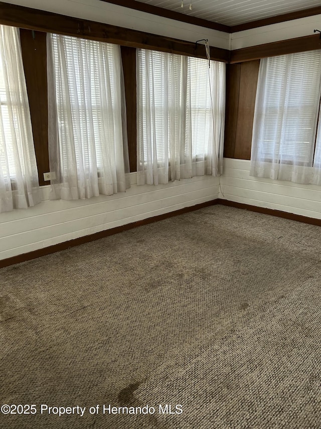 unfurnished room featuring carpet