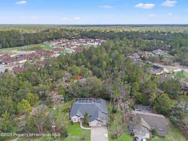 145 Pine St, Homosassa, FL 34446 - photo 40