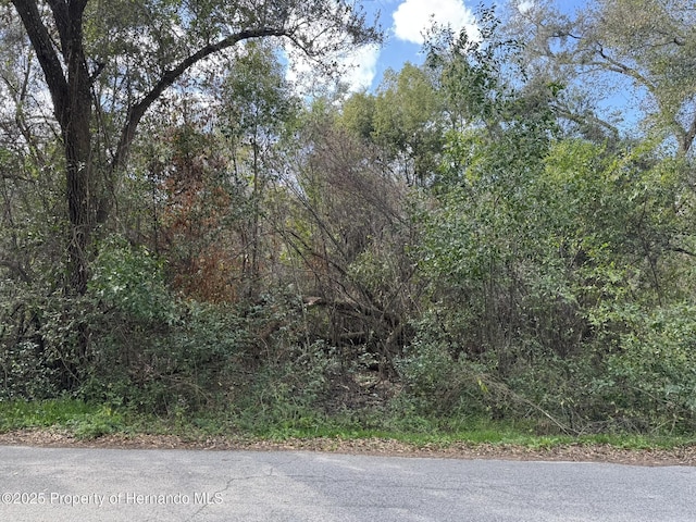 Listing photo 2 for LOT76 Idle A While Cir, Dade City FL 33523