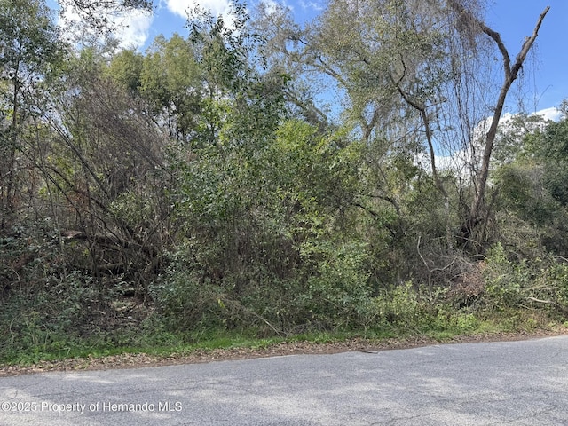 Listing photo 3 for LOT76 Idle A While Cir, Dade City FL 33523