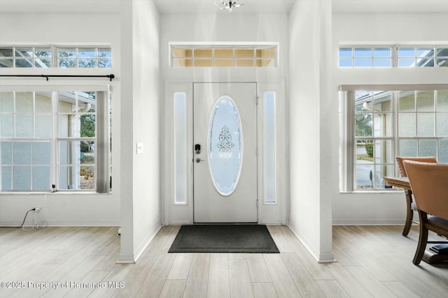 foyer with a high ceiling, light hardwood / wood-style floors, and plenty of natural light