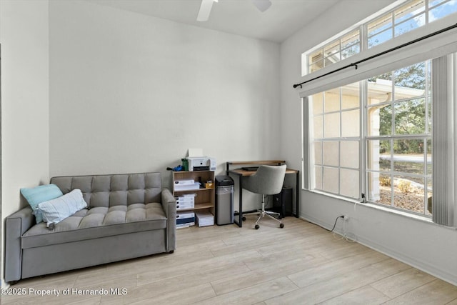 office space featuring ceiling fan and light wood-type flooring