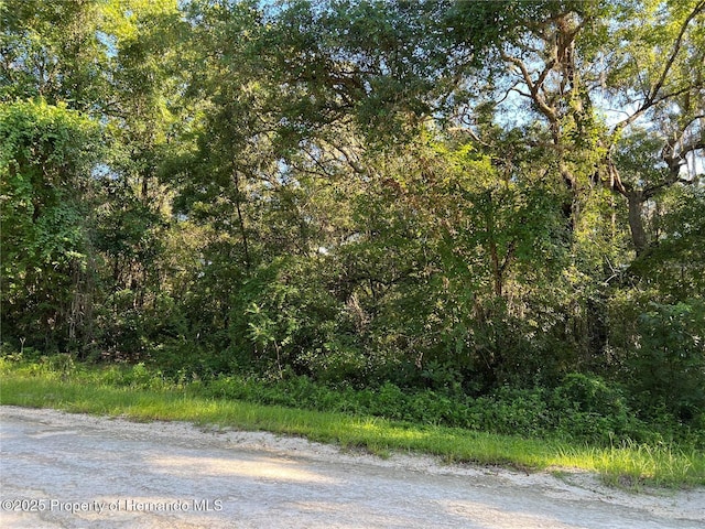 34085 Arrowrock St, Webster FL, 33597 land for sale