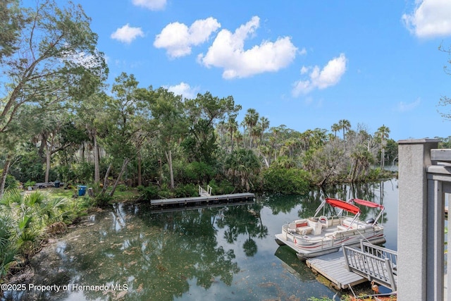 view of dock featuring a water view